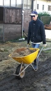 20141119_111339